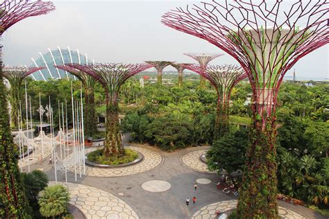 Featured Project: Gardens by the Bay Supertrees - Greenroofs.com