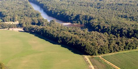 What does Resiliency look like in the Cape Fear River Basin? - Cape ...