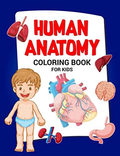 Human Anatomy Coloring Book for Kids: Human Body Parts Coloring Book ...