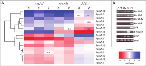 Gene expression analysis. (A) Heat map illustrating RNA-Seq ...