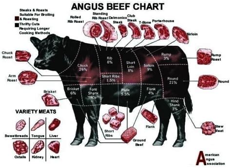 Angus Beef Chart Butcher Cuts Of Meat - Chart Walls