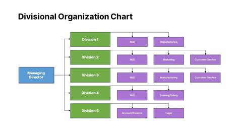 Divisional Organizational Structure | Organizational structure ...