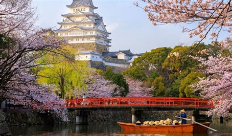 16 Best Places To See Cherry Blossoms In Japan In 2024