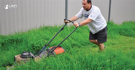 Why regular mowing is important - Agland Turf