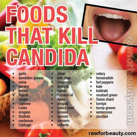 Pin by Carol Beck on Heal Thyself ☤ | Candida diet recipes, Candida ...