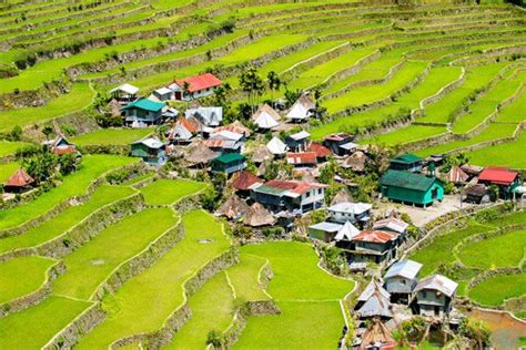 Ifugao | people | Britannica.com