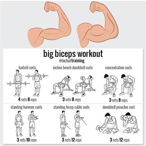 Get Bigger Biceps With These 8 Arm Exercises | Big biceps workout ...