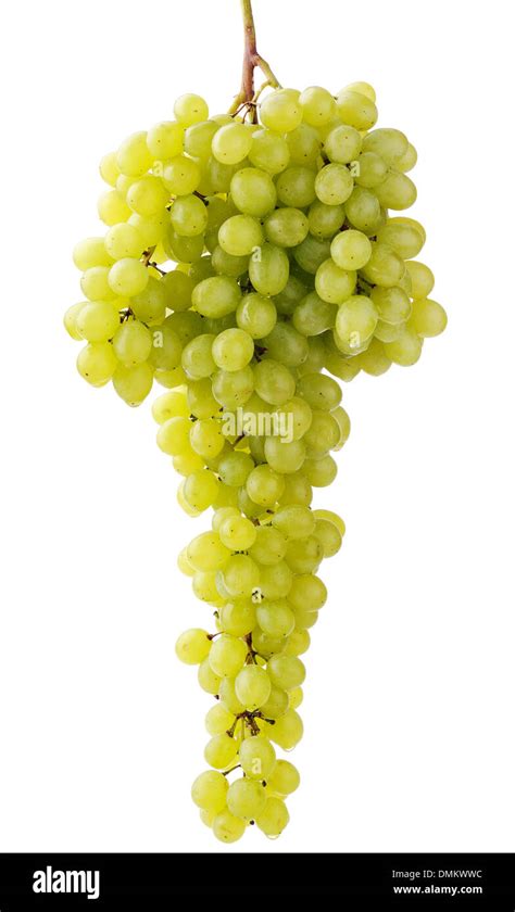 bunch of green sultana grape isolated over white Stock Photo - Alamy