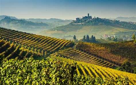 Barolo wine tour (Piedmont) - Dream Italy