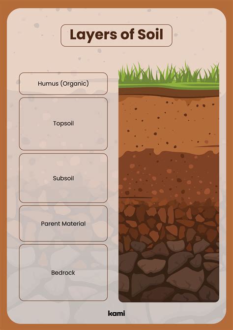 Soil Layers Worksheet For Kids