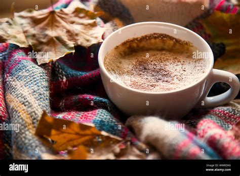 Autumn coffee cup with cozy blanket and dried leaves, fall deco warm ...