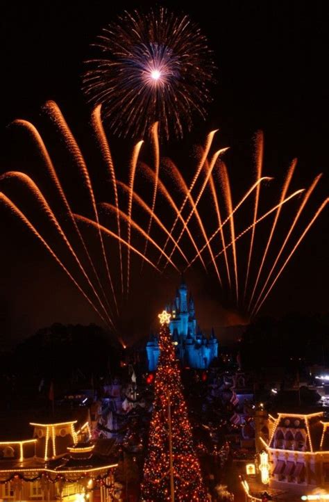 Magical Magic Kingdom Christmas fireworks. We got to light the ...