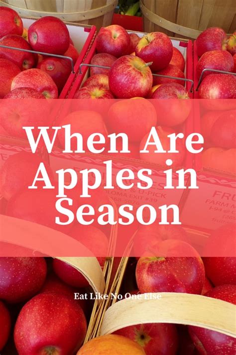 When Are Apples in Season?