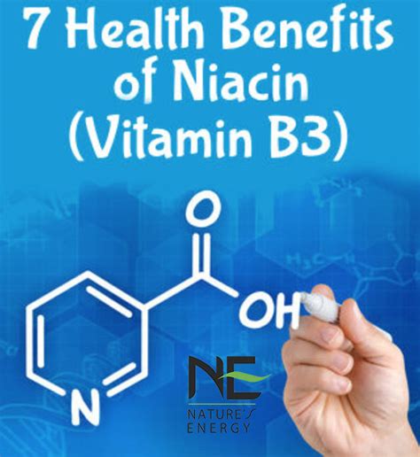 7 Benefits of Vitamin B3 (Niacin) | Natures EnergyNatures Energy