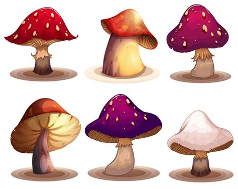 A Set of colourful mushroom 359476 Vector Art at Vecteezy