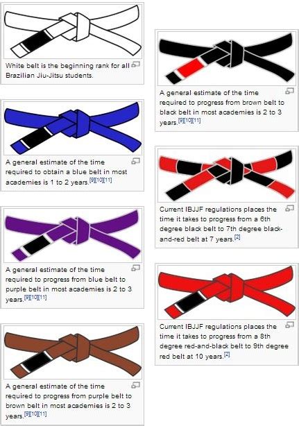 Jiu Jitsu Belt Ranking System - BJJ Mat Rat