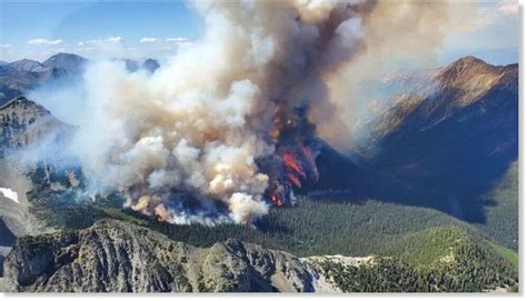 Canada's record-breaking wildfires burned more than 10 million hectares ...