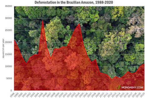 What's the current deforestation rate in the Amazon rainforest? What's ...