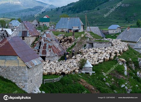 Lukomir Bosnia Herzegovina Sunny Summer Afternoon Village Lukomir ...