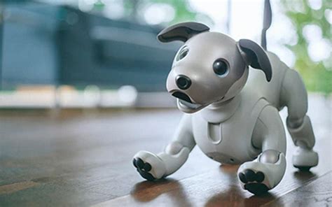 Sony Brings Back Artificially Intelligent Robot Dog Aibo - InsideHook