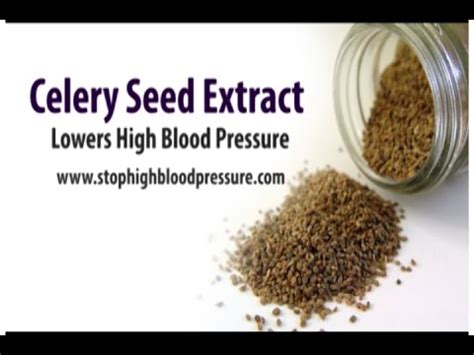 Celery Seed Diet for High Blood Pressure - YouTube