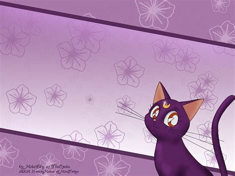 HD wallpaper: Anime Cat Luna Flower Anime Sailor Moon HD Art, Flowers ...