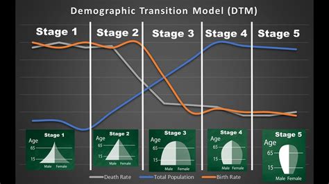 The Demographic Transition Model - YouTube