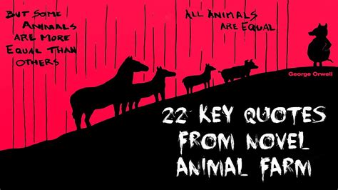 22 Key Quotes from Novel Animal Farm - YouTube