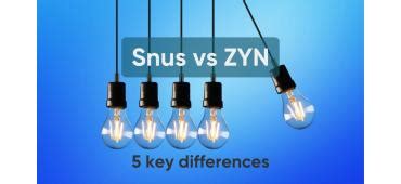 Snus Vs. ZYN: Unveiling the 5 key differences