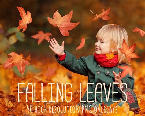 Falling Leaves Overlay, Falling Leaf Overlays, Fall Leaves, Autumn ...