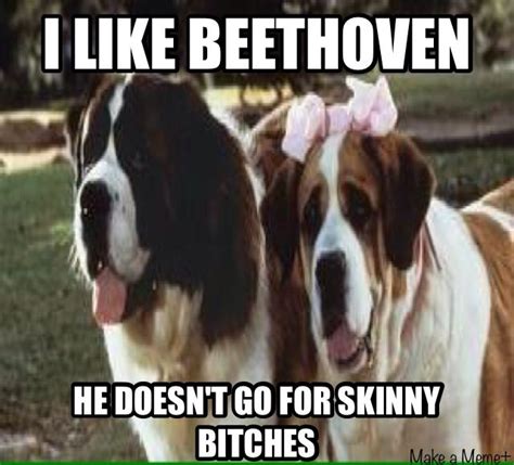 Funny Beethoven meme. Inspired by the lovely movie I watched ...