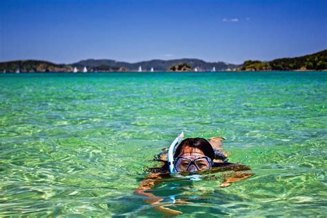 Bay of Islands Kayaking - Bay Of Islands