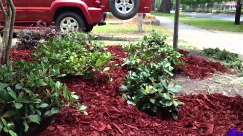 Henry Adams: How To Plant Flowers In Mulch / How To Mulch Flowerbeds ...