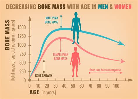 Bone Density Scale Chart