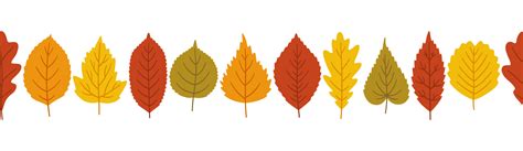 Autumn leaves background, banner template, vector illustration ...