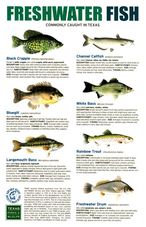 Fish Compatibility Chart Exotoc Aquatics Salt Water