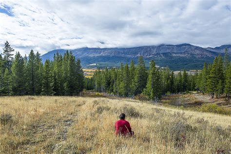 Helena Lewis and Clark national Forest closes campgrounds, rental ...