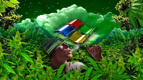 Windows Logo In Weed Wallpapers HD / Desktop and Mobile Backgrounds