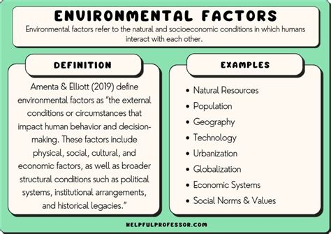 15 Environmental Factors Examples