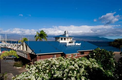 Just look for our iconic Blue Roof - 45+ years in Ma'alaea Harbor ...