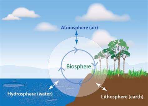 THE BIOSPHERE, LITHOSPHERE, HYDROSPHERE & ATMOSPHERE - The carbon cycle ...