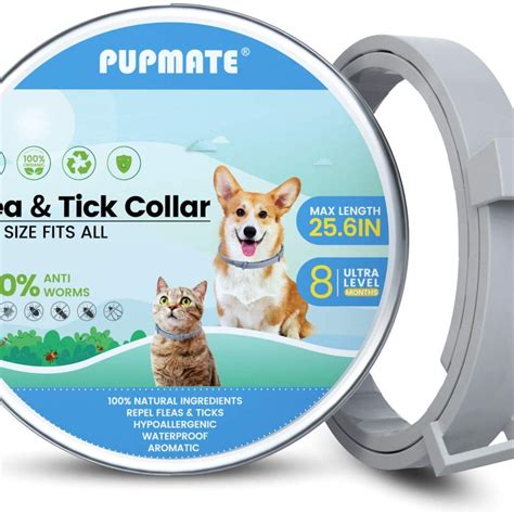 Best Dog Flea Collars for dog in 2021