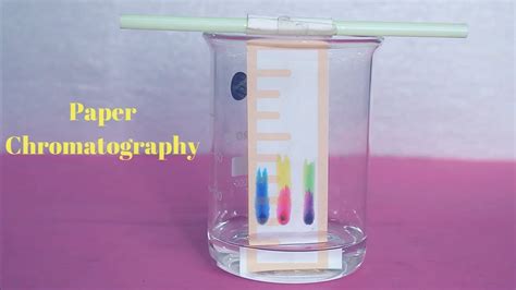 Chromatography Paper Easy Experiment at Thomas McHugh blog