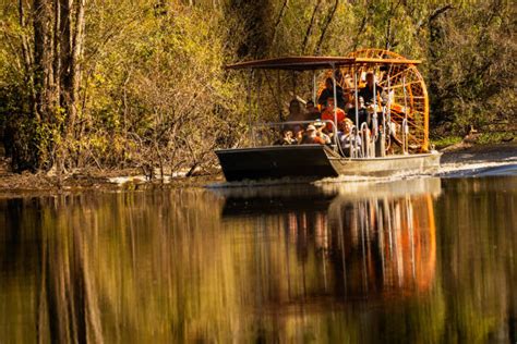 110+ Atchafalaya National Wildlife Refuge Photos Stock Photos, Pictures ...