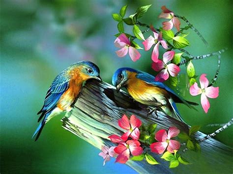 Free Spring Bird Wallpaper - WallpaperSafari