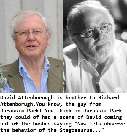 My Magical, Uneventful, Broke, College Life: David Attenborough in ...