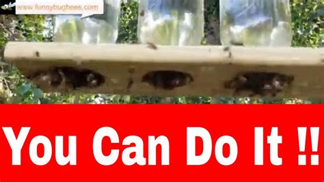 How To: Make Simple, Effective Mason Jar Honeybee Feeders - YouTube