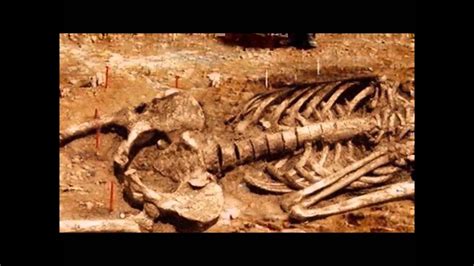 GIANT HUMAN SKELETONS discovered at 7 separate gravesites HD - YouTube