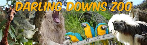 Darling Downs Zoo - Queensland