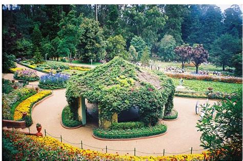 Botanical Garden, Ooty - Ooty